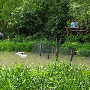 Amazonie @ Zoo Zlin-Lesna