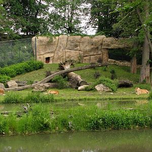 Lion exhibit @ Zoo Zlin-Lesna