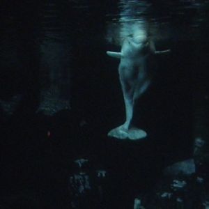 Beluga
