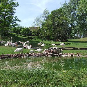 African mixed exhibit @ Veszprem Zoo, Hungary