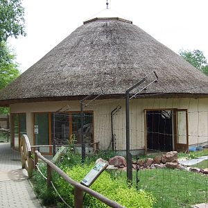 Flamingo House @ Veszprem Zoo, Hungary