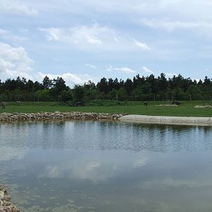 Savanna exhibit @ Veszprem Zoo, Hungary