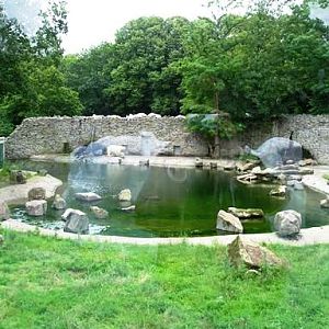 Ouwehand / Rhenen (NL) Polar bear enclosure