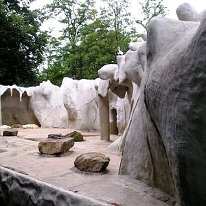 Ouwehand / Rhenen (NL) Polar bear enclosure