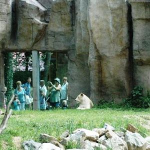 Ouwehand / Rhenen (NL) Umkhosi