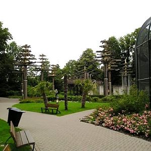 Ouwehand / Rhenen (NL) Orang-utan