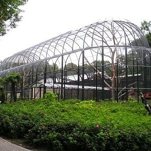 Ouwehand / Rhenen (NL) Urucu