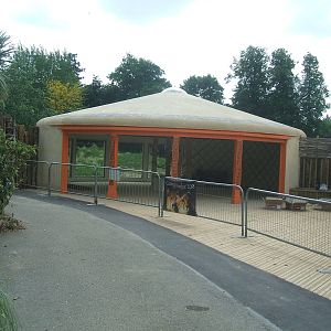 Cheetah viewing dome (under construction)