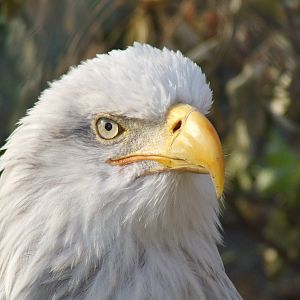 Johnny @ Budapest Zoo