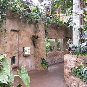 Phillipine Crocodile Enclosure