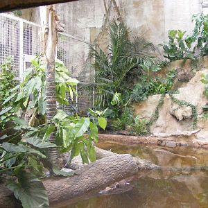 Phillipine Crocodile Enclosure