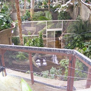 Phillipine Crocodile Enclosure
