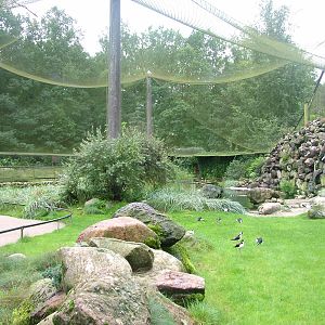 Aviary for coastal birds at Zoo Rostock Sept 2007