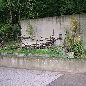 Ring-tailed Lemur enclosure at Zoo Rostock Sept 2007