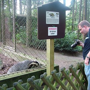 Zoogiraffe interests a badger at Wildpark Lueneberger Heide 2007