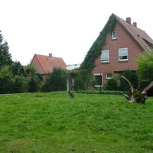 Homes overlooking the wallaby paddock at Tierpark Nordhorn 2007