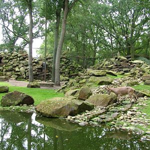 Enclosure for Siberian Ibex and Griffon Vultures at Tierpark Nordhorn 2007