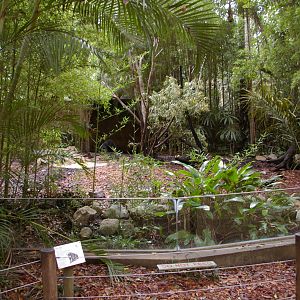 sun bear enclosure, Alma Park Zoo