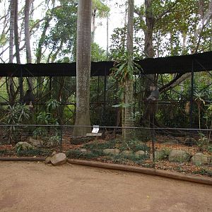 monkey cages, Alma Park Zoo