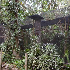 squirrel monkey cage, Alma Park Zoo