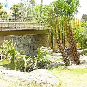 Busch Gardens Tiger Habitat