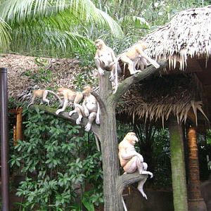 Proboscis Monkey models, Singapore Zoo
