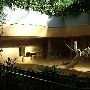 Ape House interior at Hannover Zoo 2007