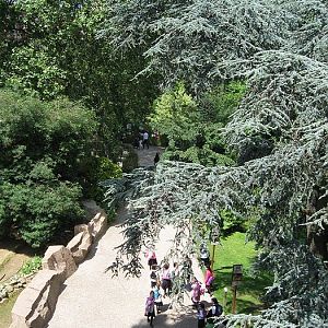 On top of the reptile building
