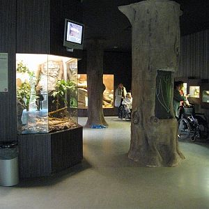 Inside the reptile building