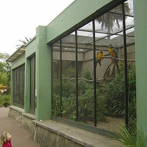 Auckland Zoo