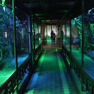 Nocturnal section @ Budapest Zoo