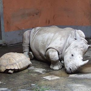 Layla with company @ Budapest Zoo
