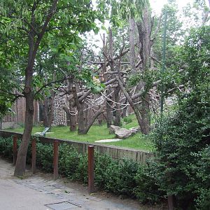 Sumatran orangutan enclosure @ Budapest Zoo