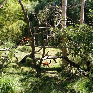 Micke Grove Zoo-Island Lost In Time