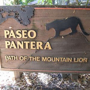 Micke Grove Zoo-Paseo Pantera