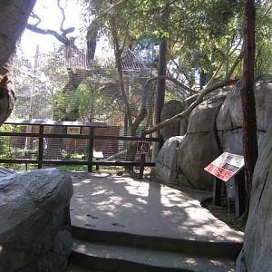 Micke Grove Zoo-Paseo Pantera