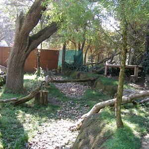 Micke Grove Zoo-Paseo Pantera