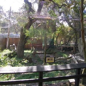 Micke Grove Zoo-Paseo Pantera