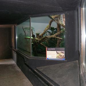 Micke Grove Zoo-Tropical Forest Canopy