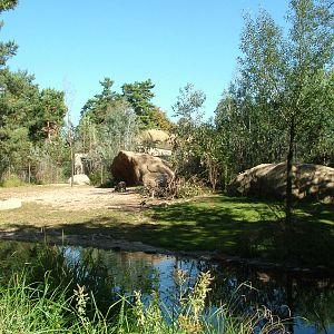 Outdoor Kangaroo and Brush-Turkey exhibit at Basel Zoo 30/08/09