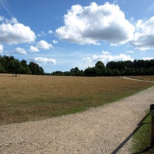 Scandinavian Wildlife Park - Fallow deer enclosure