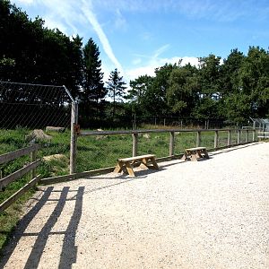 Scandinavian Wildlife Park - Polar fox exhibit