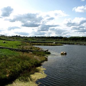 Scandinavian Wildlife Park - Polar Bear Park