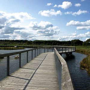 Scandinavian Wildlife Park - Polar Bear Park