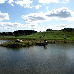 Scandinavian Wildlife Park - Polar Bear Park