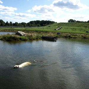 Scandinavian Wildlife Park - Polar Bear Park