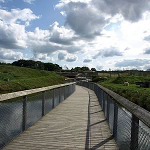 Scandinavian Wildlife Park - Polar Bear Park