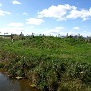 Scandinavian Wildlife Park - Polar Bear Park