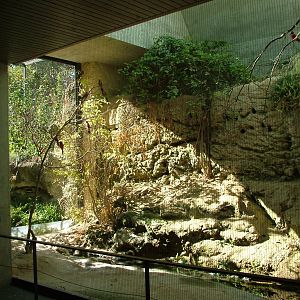 Bee-eater exhibit, Etosha House at Basel Zoo 30/08/09