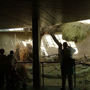Mixed exhibit in the Etosha House at Basel Zoo 30/08/09